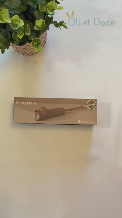 video lampe torche oli et dodo
