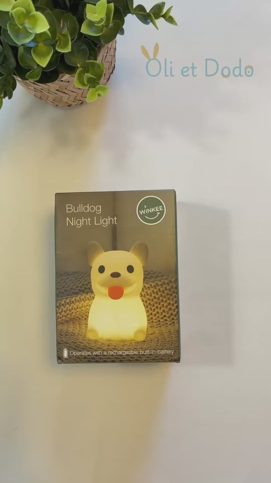 veilleuse video oli et dodo