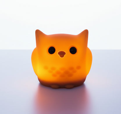 veilleuse nomade normes CE